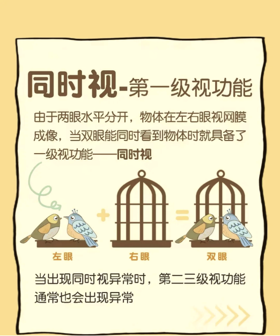 眼科专家提醒：高考完毕，填报志愿前建议先看一场立体电影